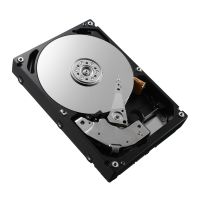 DELL SAS, 12Gbps, PI Type-2, ISE, internal hard drive 8 TB 7200 RPM 3.5"